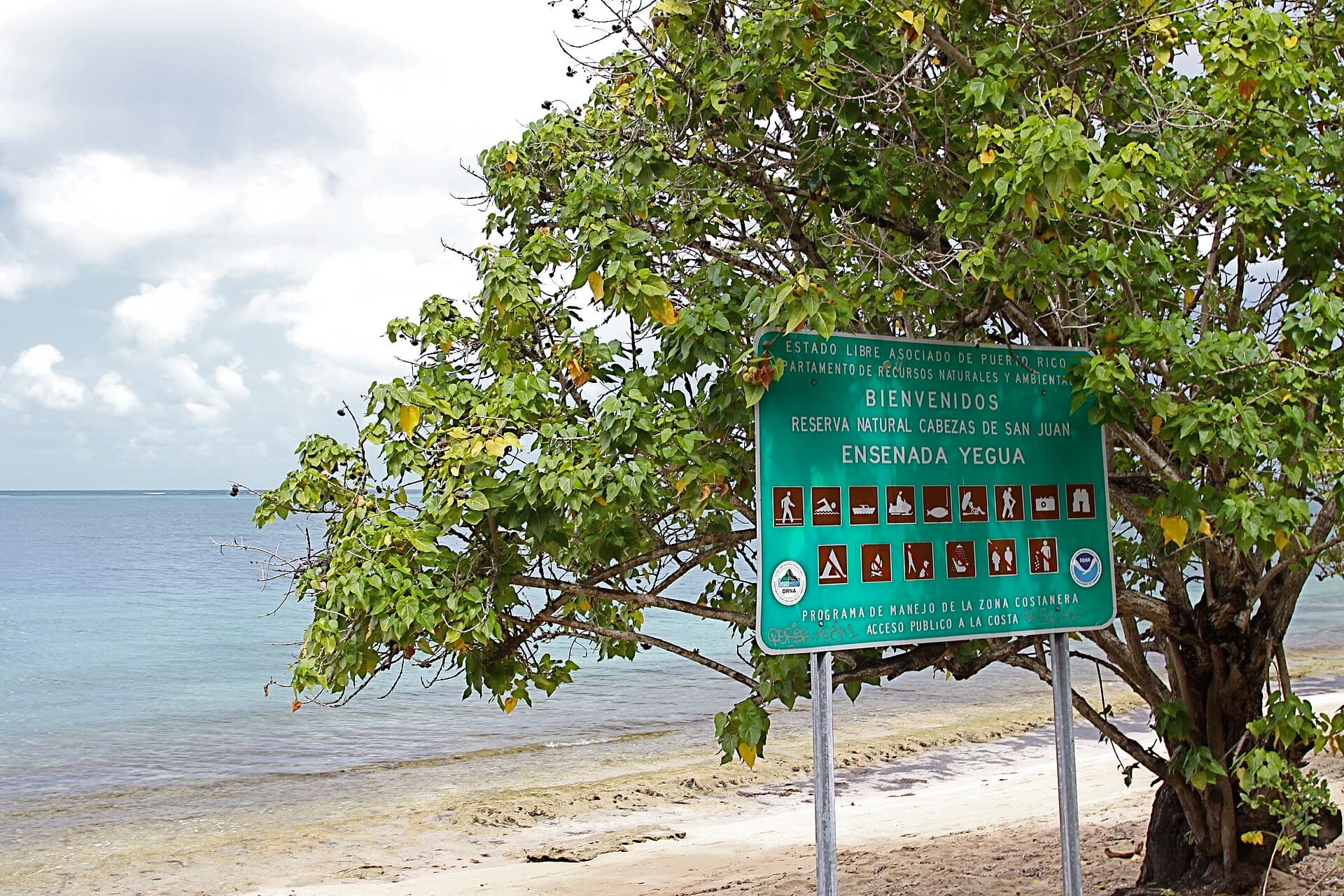 Cabezas de San Juan Reserve, Fajardo