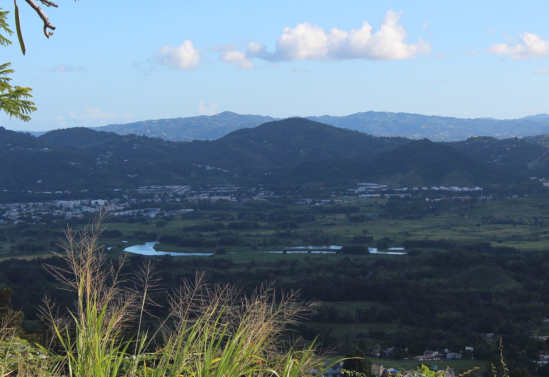 Gurabo River and valley