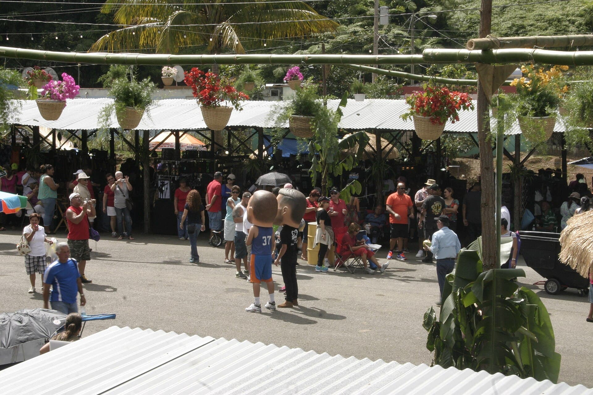 Coffee Harvest Festival, Maricao