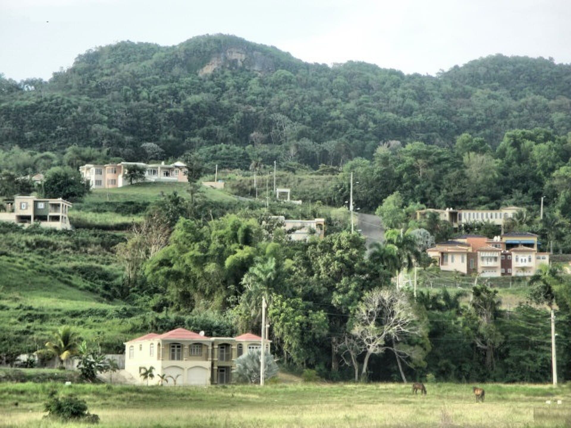 Moca, land of mundillo lace