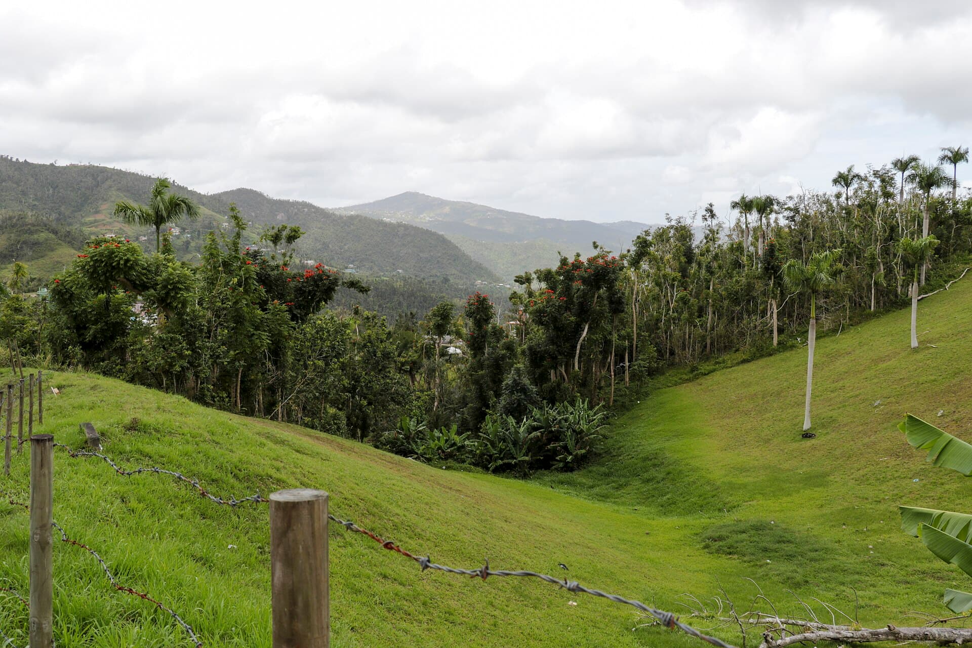 Hills and valleys of San Lorenzo