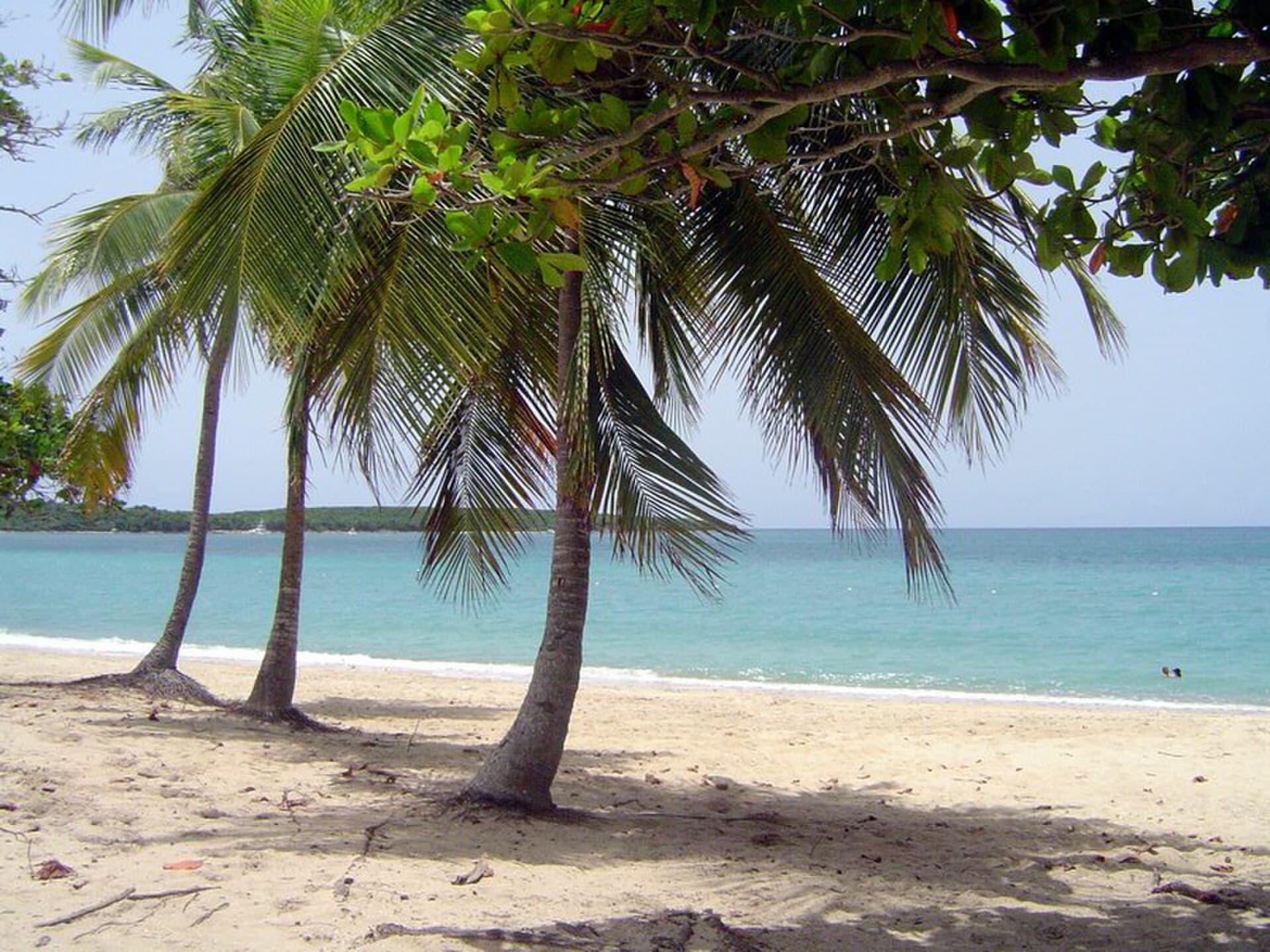 Sun Bay Beach, Vieques
